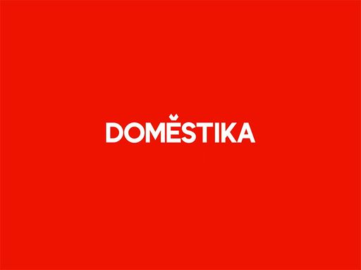 Domestika